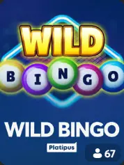 Wild Bingo BC Game Norge game cover