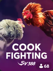 Cock Fighting BC Game Norge game cover